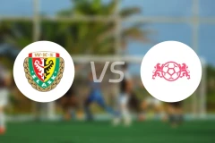 斯拉斯克女足vsAPLG格但斯克女足比分预测【2026/03/22】