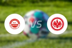 沃尔多夫vs法兰克福青年队比分预测【2026/03/01】