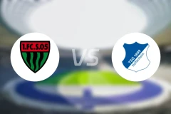 施韦因富特vs霍芬海姆青年队比分结果战报【2025/11/08】