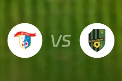 维泰兹vsFK布杜诺斯特比分预测【2025/11/16】