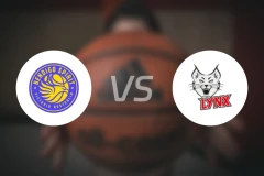 本迪高精灵女篮vs珀斯山猫女篮比分预测【2025/11/23】