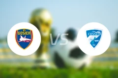 戈西耶vs瓦塞勒比分预测【2025/11/29】