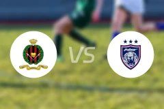 文莱DPMMvs柔佛新山比分预测【2026/03/15】