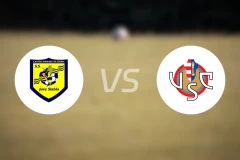 史泰比亚vs克雷莫纳比分预测【2024/10/20】