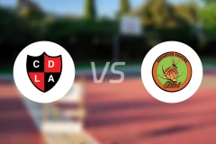 拉斯阿尼马斯vs卡斯托洛比分预测【2026/04/05】