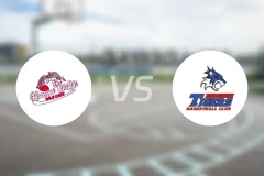 考艾奇奇野猫vs曼谷老虎雷霆比分预测【2024/08/17】