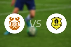 瓦尔扎甘vs法德比分预测【2026/02/08】