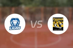 PS卡尔斯鲁厄vs图寅根比分预测【2025/12/06】