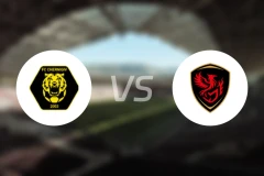 切尔尼夫vs马里乌波尔凤凰比分预测【2026/03/17】