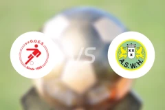 GOESvs艾斯比分预测【2026/03/29】