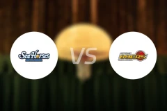 三河海马vs仙台89人比分结果战报【2025/11/09】